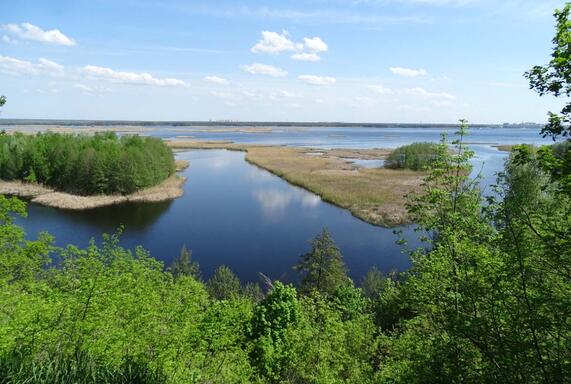 Большая Воронежская экологическая тропа - фото места