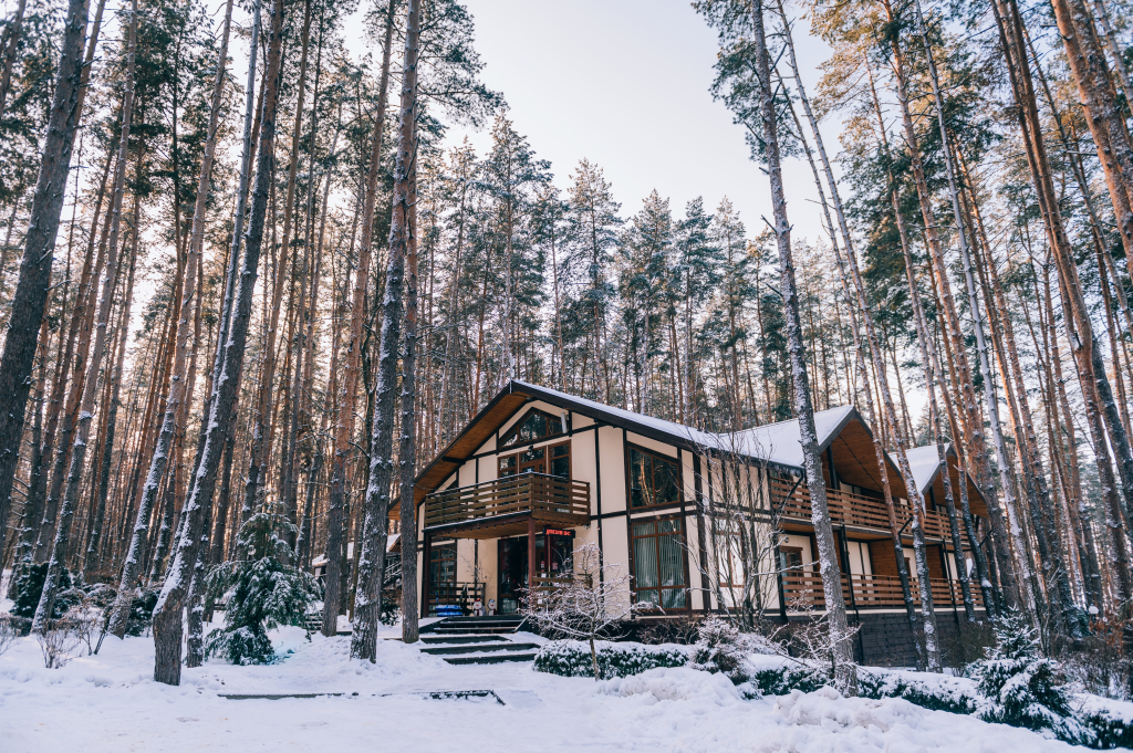 Донской Лес - фото места