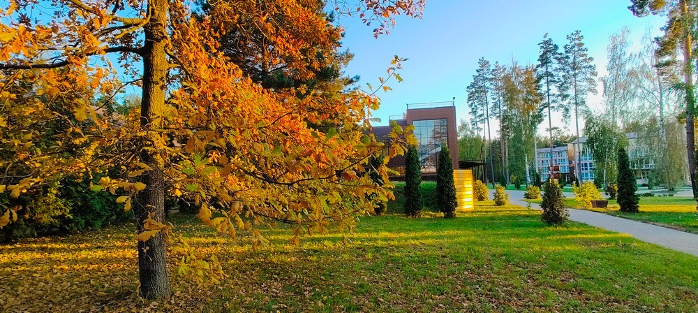 GORITSY Club в Липецкой области