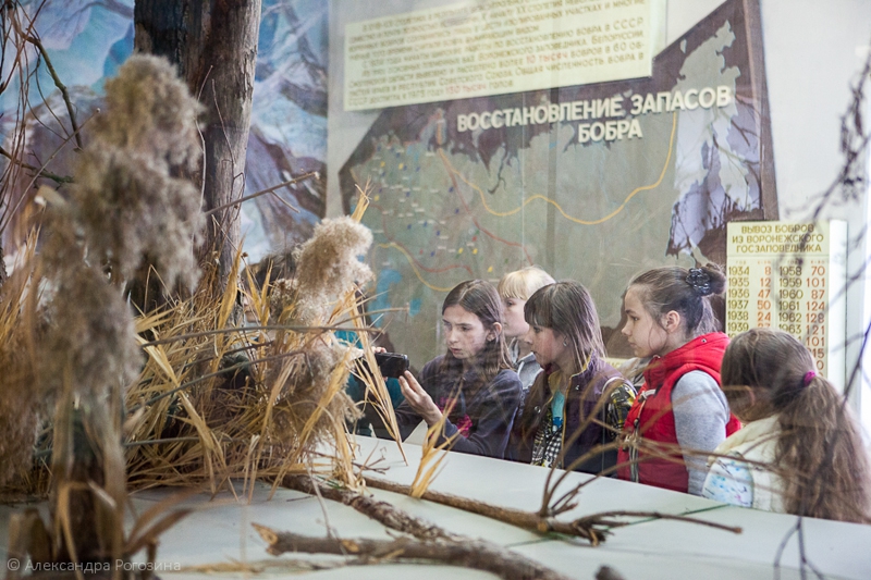 Экспозиция Музея природы Воронежского заповедника