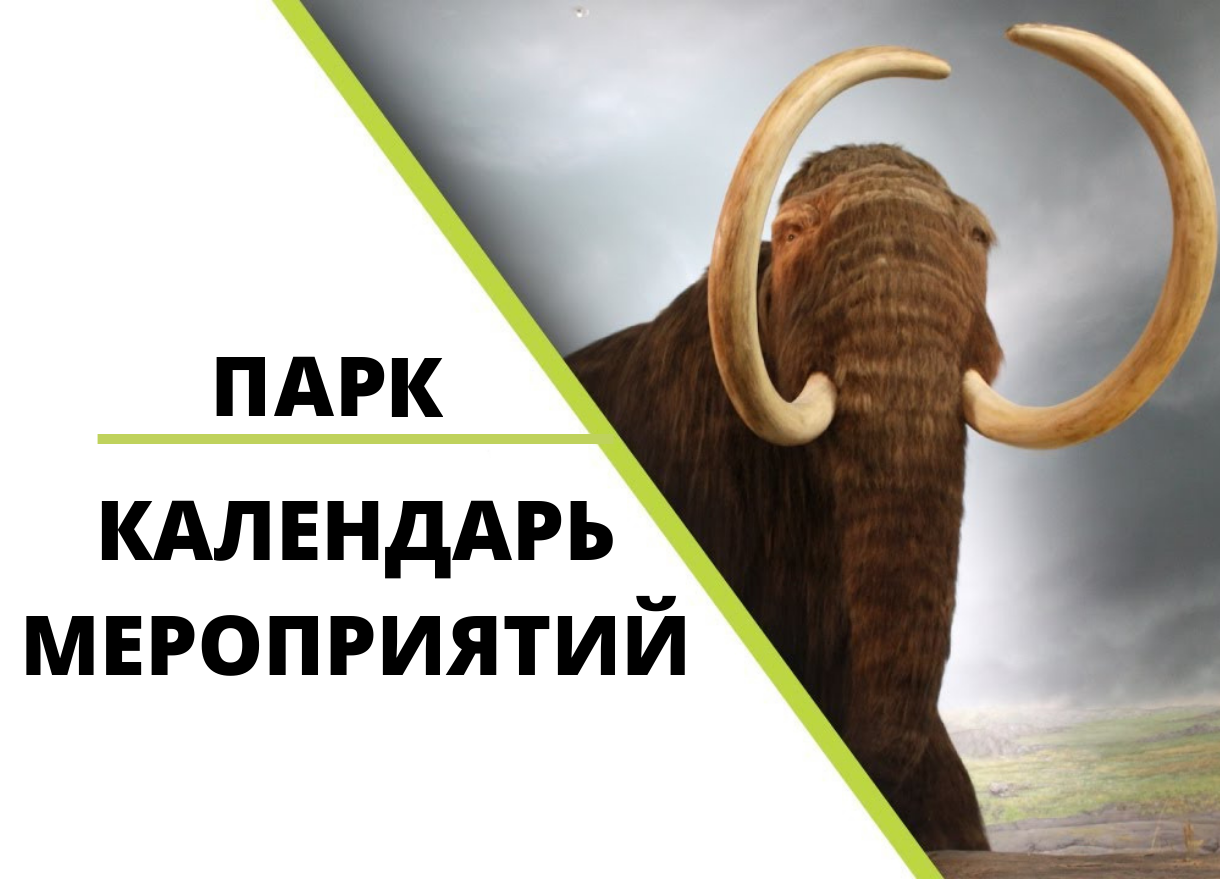 Миниатюра: Парк отдыха и развлечений Эволюция Костенки - фото места