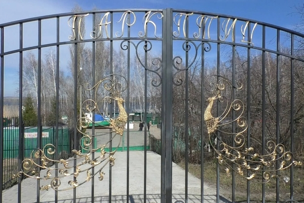 Миниатюра: Парк птиц - фото места