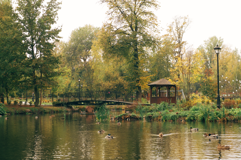 Петровский парк в Ельце