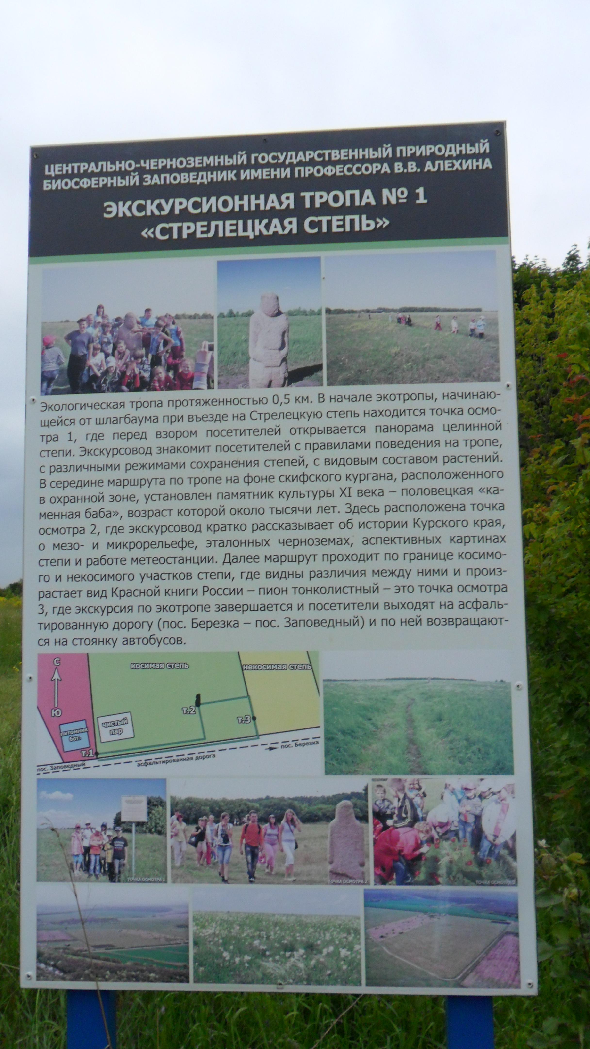 Центрально-Черноземный заповедник имени В.В. Алехина