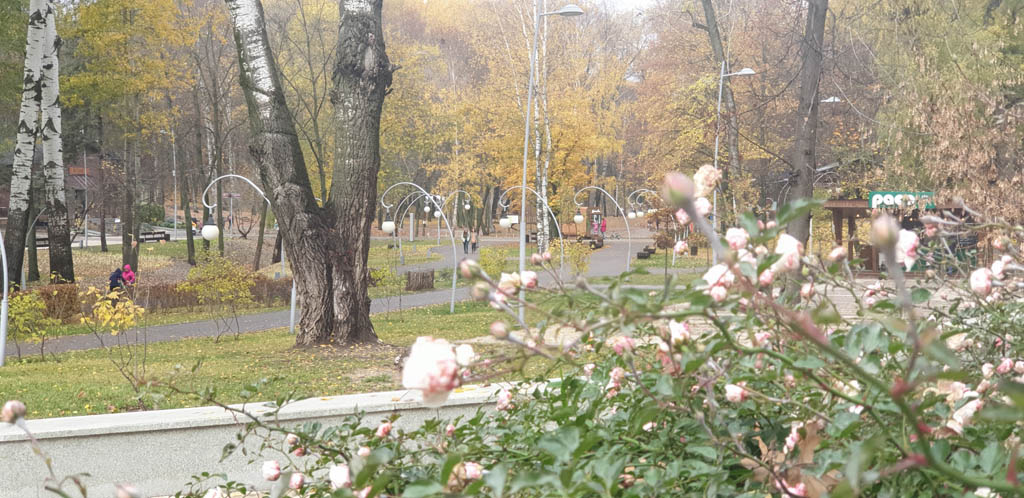 Воронежский центральный парк