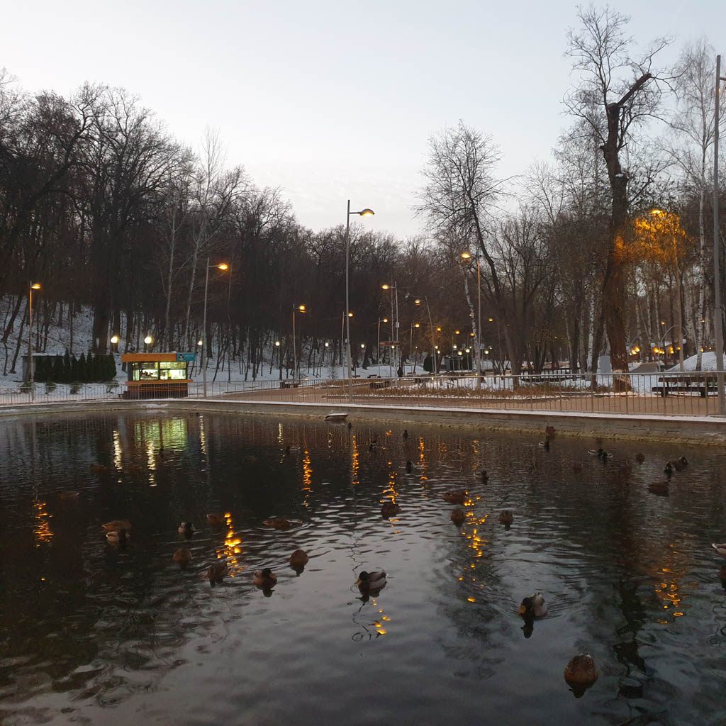 Миниатюра: Воронежский центральный парк