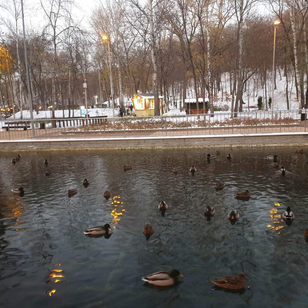 Миниатюра: Воронежский центральный парк