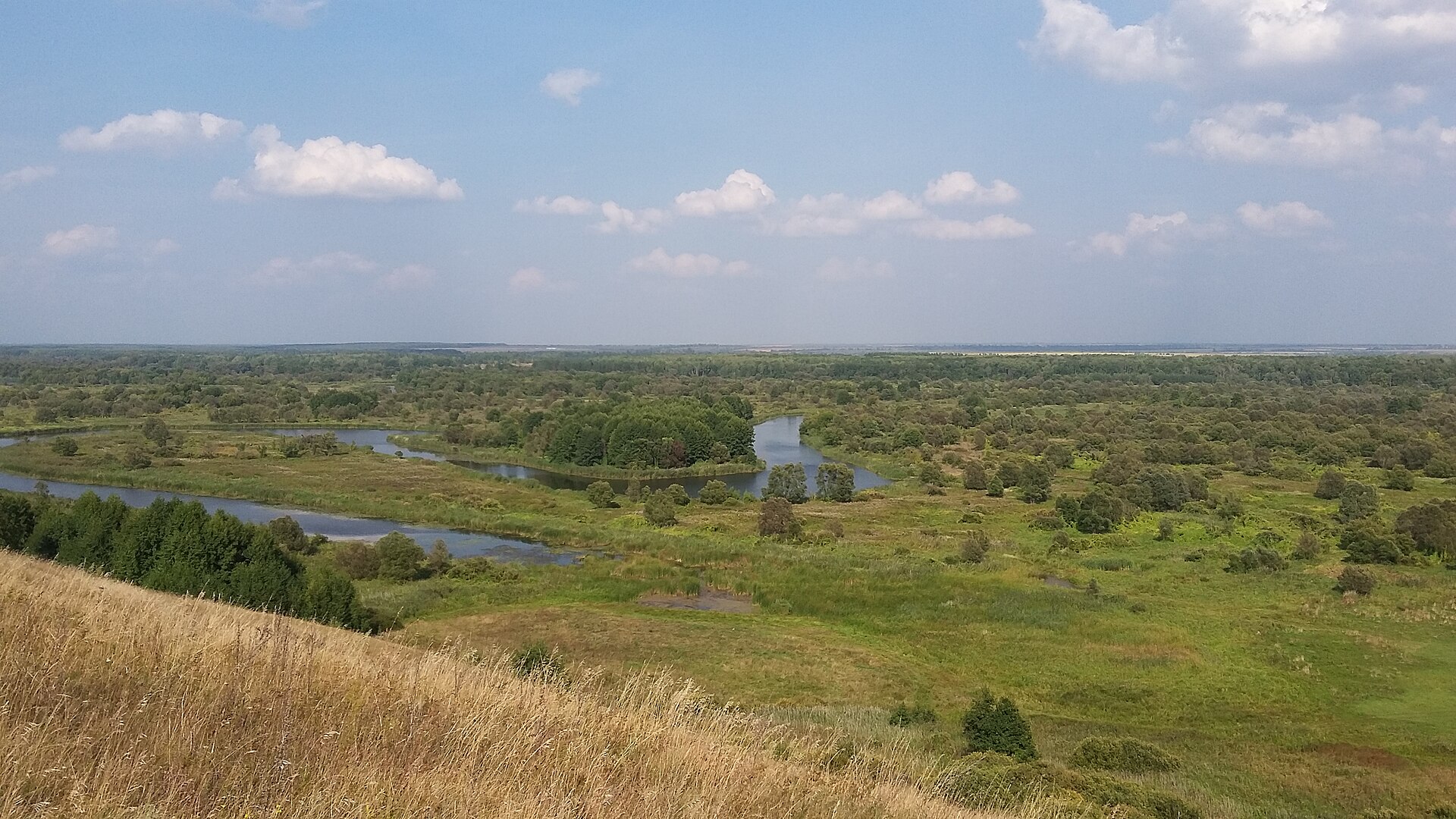 Миниатюра: Воронинский заповедник